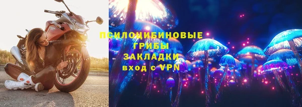 spice Верхний Тагил