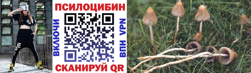 Купить закладки  Урень  Псилоцибиновые грибы Magic Shrooms 